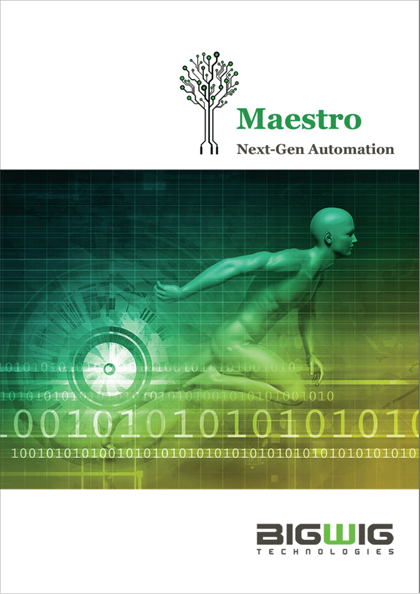 Brochure - Maestro